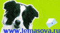 Сайт Екатерины Лемасовой о спорте с собаками и дрессировке с кликером