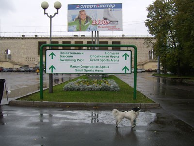 Марти в Лужниках