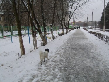 Марти