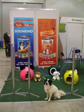 Марти