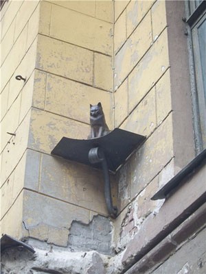 Кот
