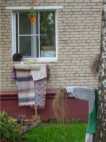 Кошка на окошке